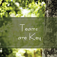Teams Are Key Teams Are Key